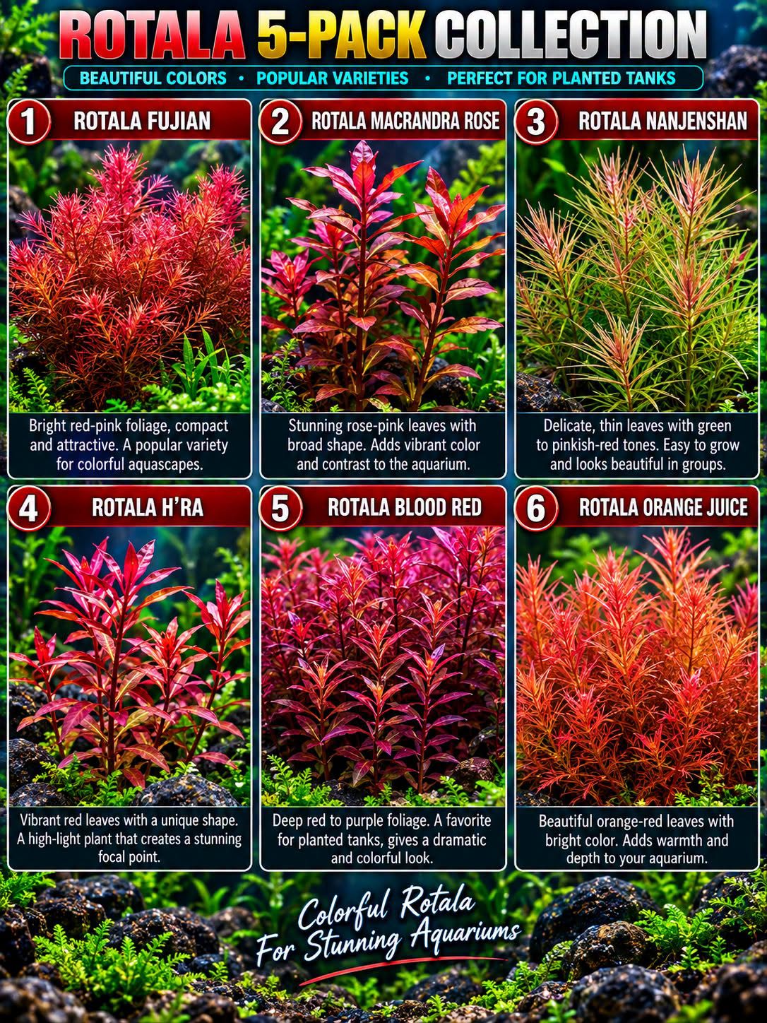 Rotala