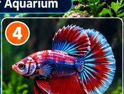 Siamese Fighting Fish